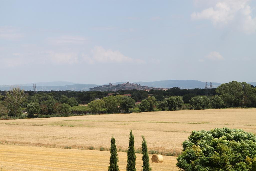 Agriturismo Verbena Castiglione del Lago Esterno foto