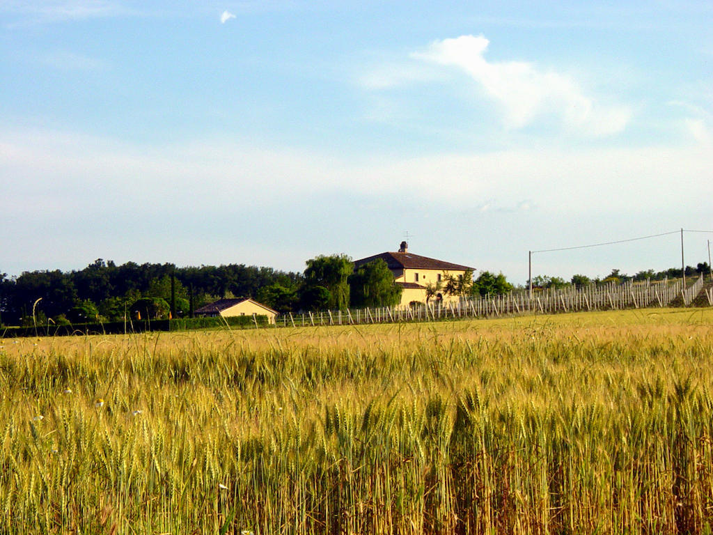 Agriturismo Verbena Castiglione del Lago Esterno foto