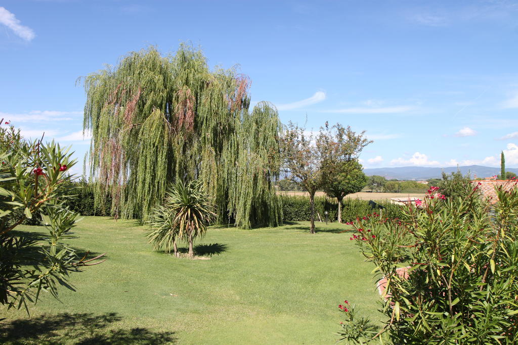 Agriturismo Verbena Castiglione del Lago Esterno foto